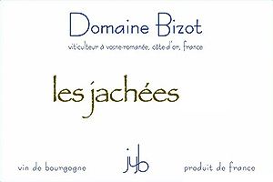 DOMAINE BIZOT | Spotlight On: Vosne Les Jachées